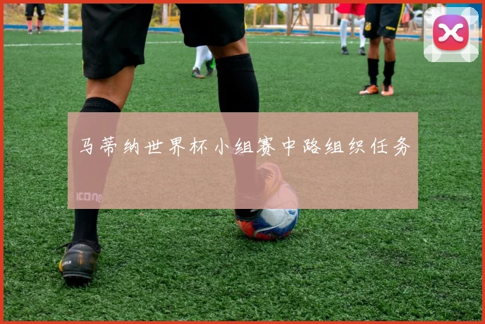 马蒂纳世界杯小组赛中路组织任务