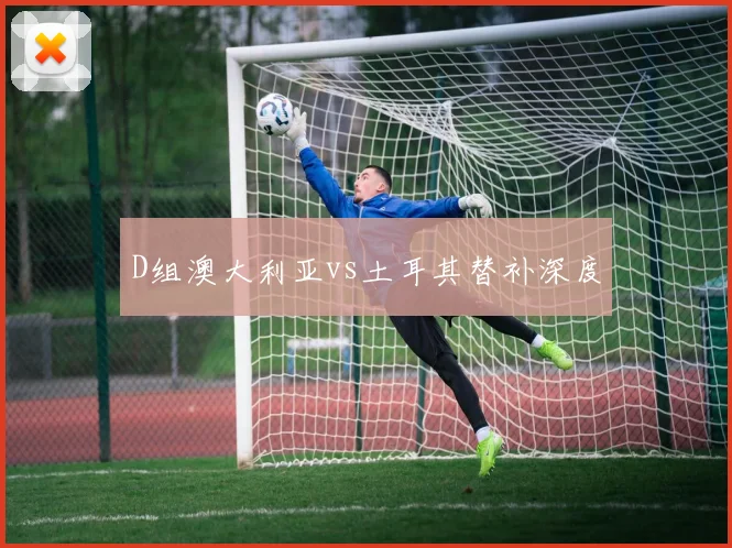 D组澳大利亚vs土耳其替补深度