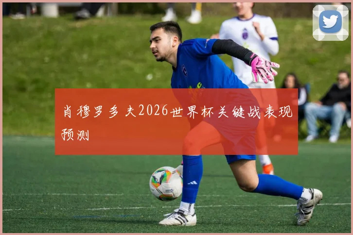 肖穆罗多夫2026世界杯关键战表现预测