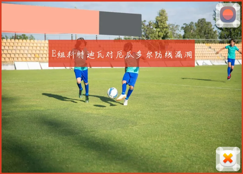 E组科特迪瓦对厄瓜多尔防线漏洞
